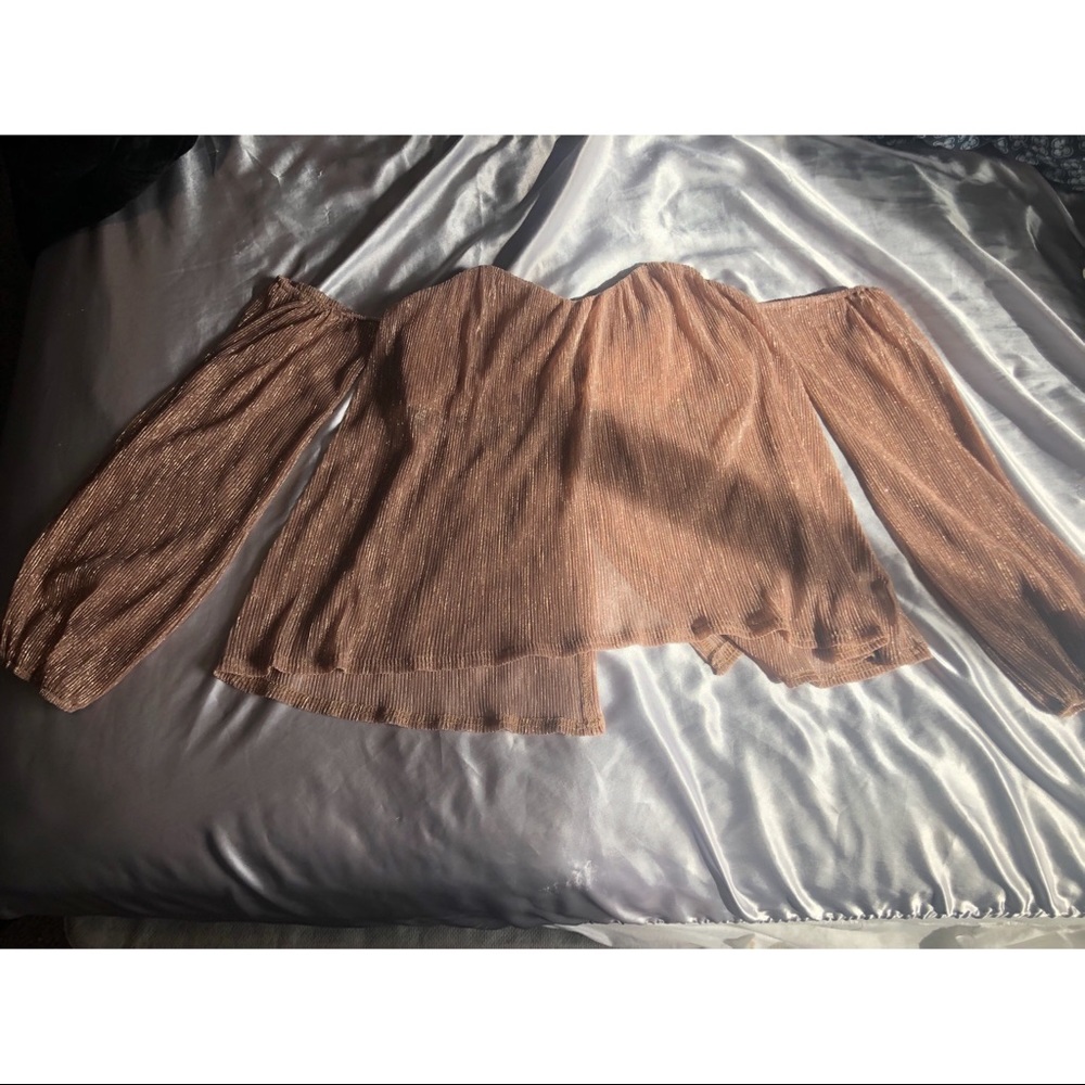 Rose Gold Sheer Bustier Top
